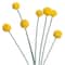 Yellow Billy Ball Stem by Ashland®